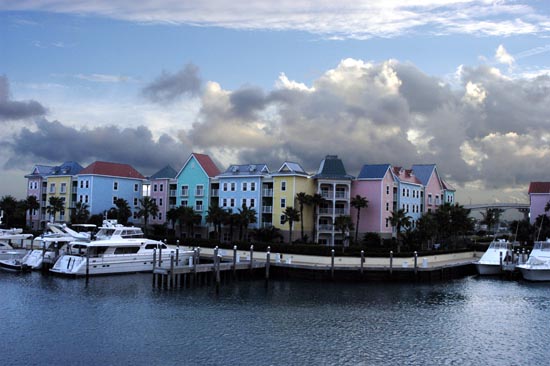 DSC_8909