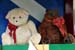 bears1