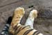 feet1