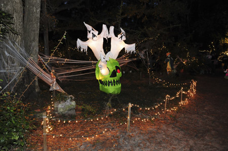 BOB_8682_1