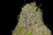 BOB_7891_1