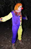BOB_7933_1