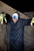 BOB_7984_1