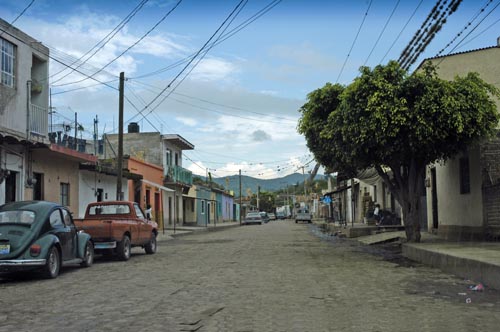 DSC_5161