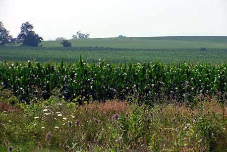 DSC02242