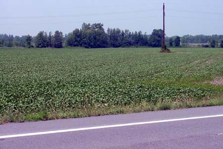 DSC02245