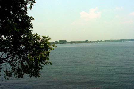 DSC02261