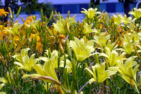 DSC02300