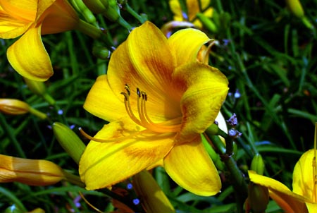 DSC02303